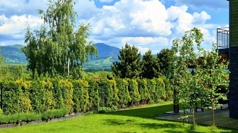 Featured image for “Káva, hory a klid: život na terase v Beskydech”